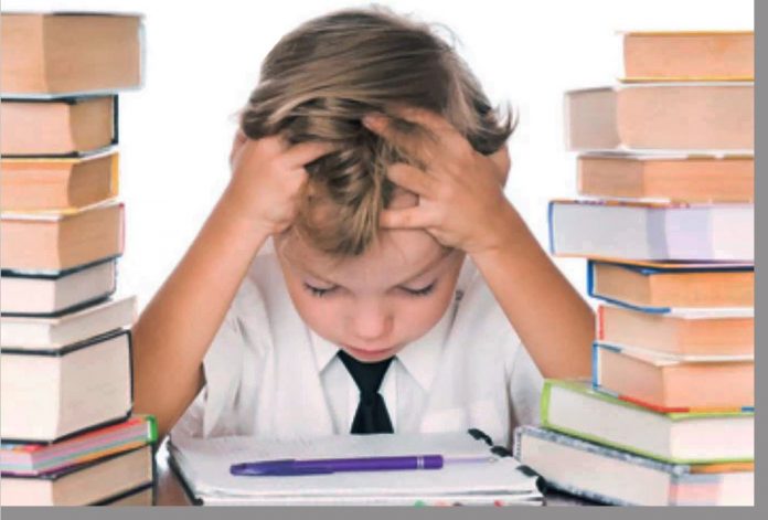 The Science Of HOmewOrk: Tips tO engage students’ brains