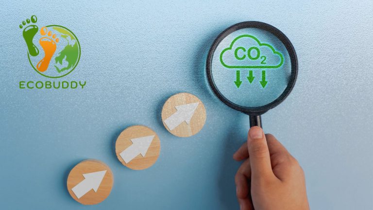 EcoBuddy: A Student-Led Carbon Footprint Tracker Promoting ...